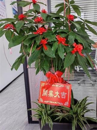 WPS圖片(1)x(1).jpg
